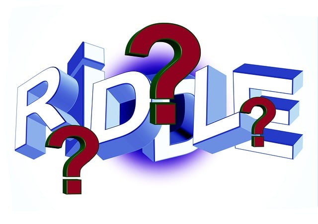 오퀴즈 정답 확인하기