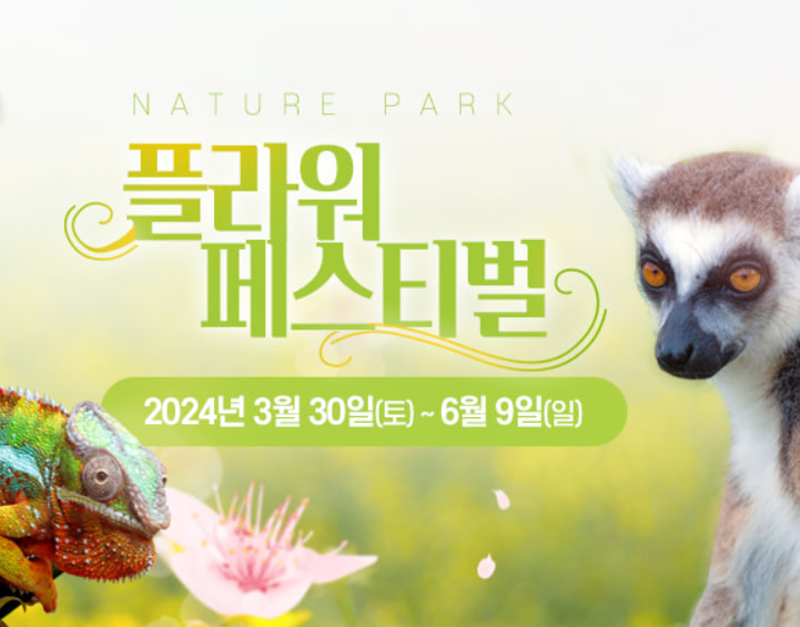 전국 벚꽃 봄꽃 축제 추천 Best 5