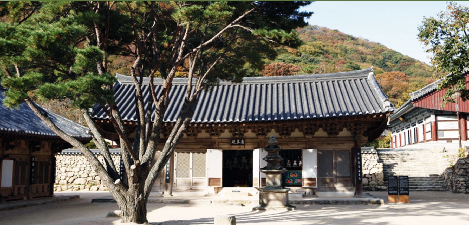 기원정사의 정신을 이어받은, 경주 함월산 숲속 지혜의 공간 기림사