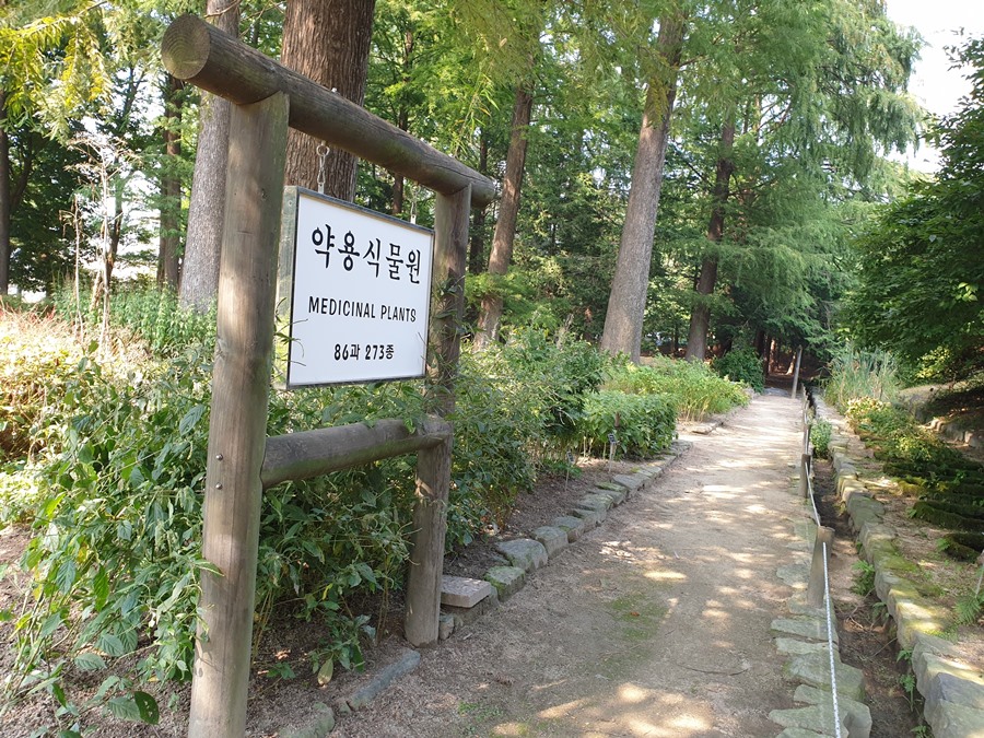 국립산림과학원-약용식물원