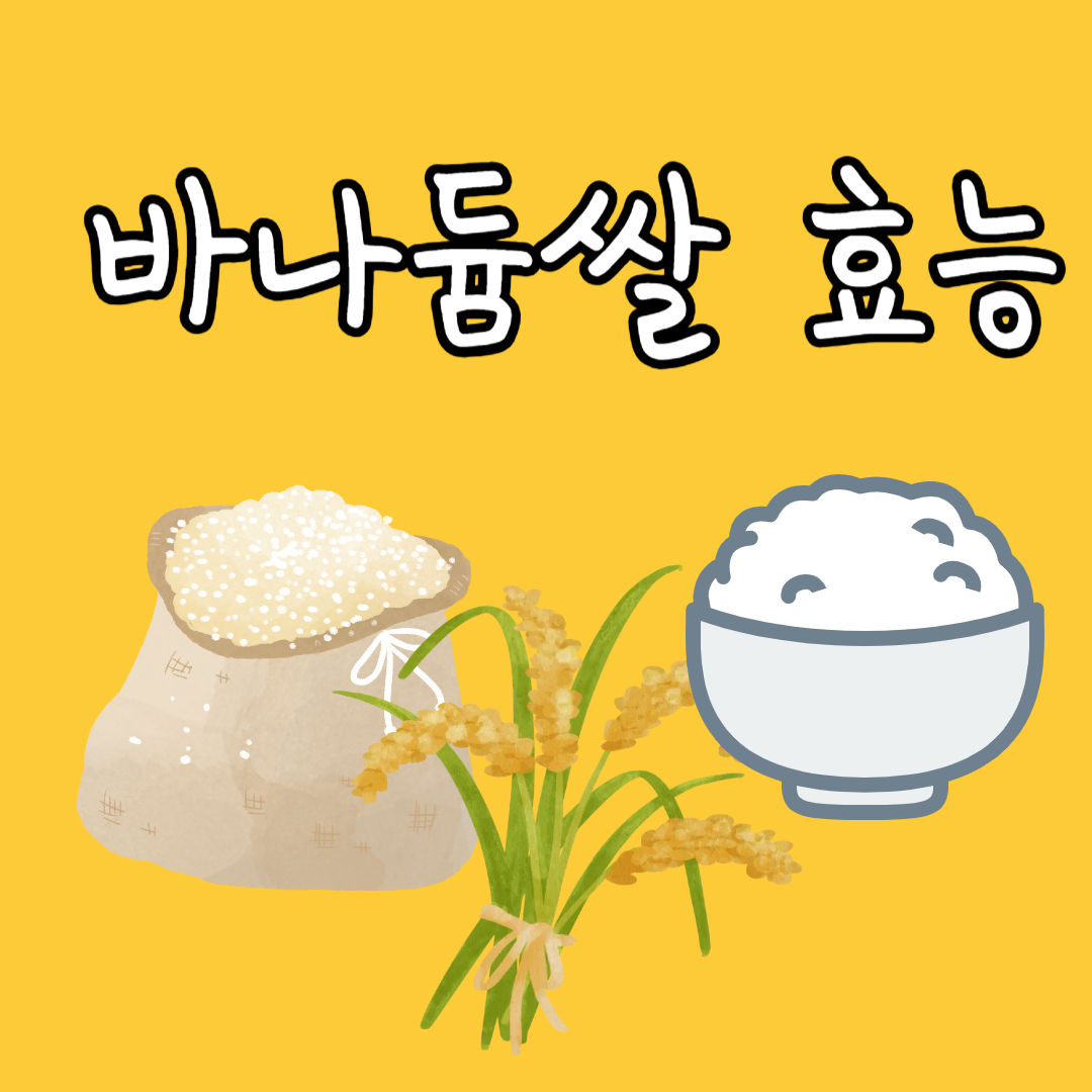 바나듐쌀 효능 가격 박나래쌀 혈당강하