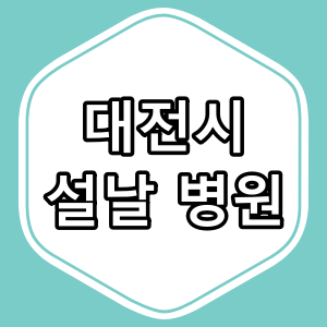 대전시 설 연휴 문 여는 병원,응급실 [2025년]