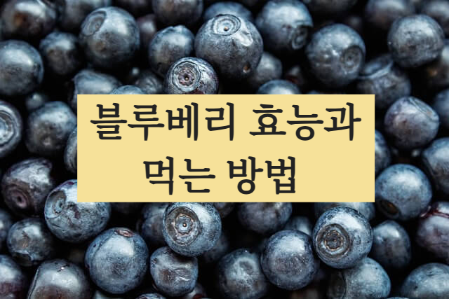 블루베리 효능