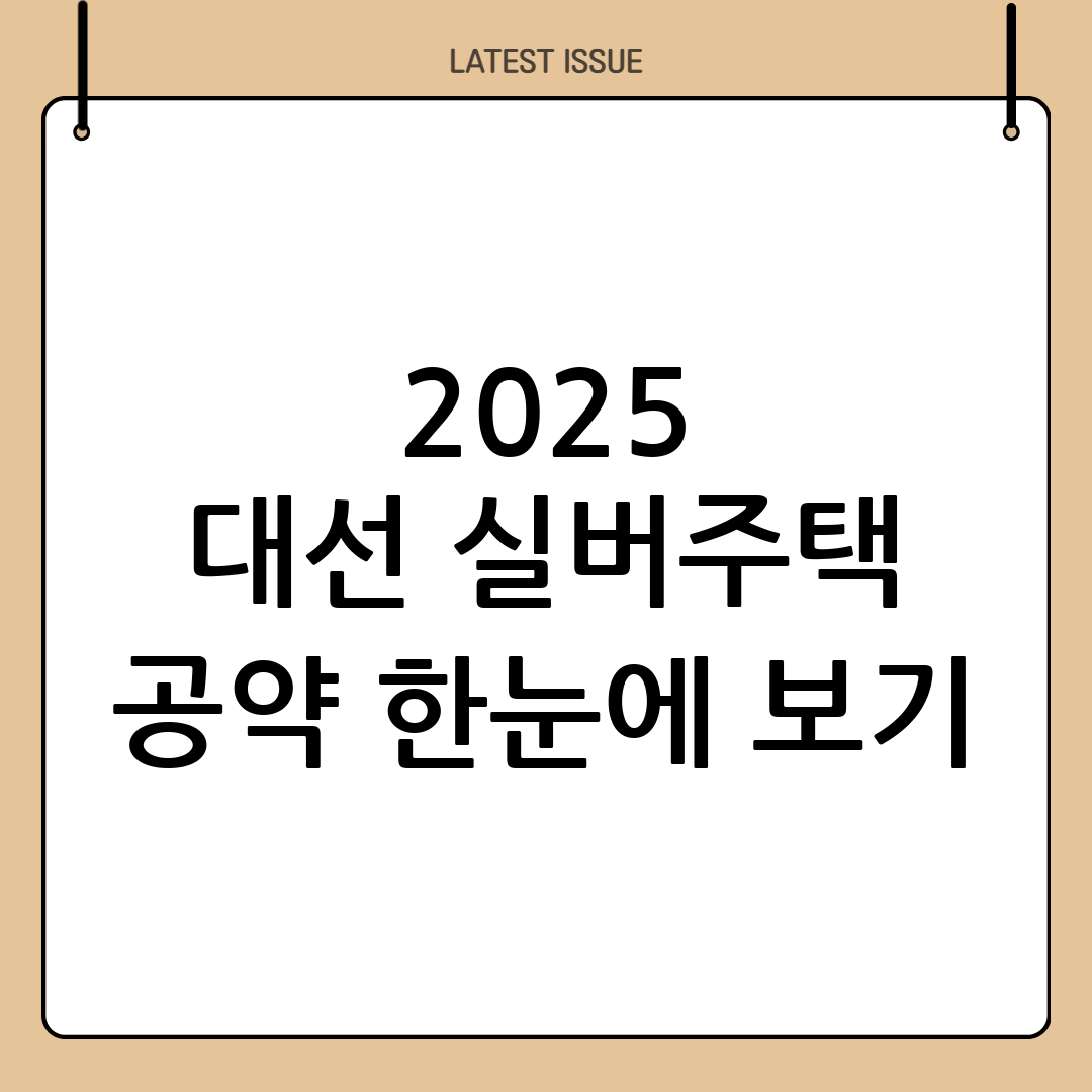 2025 대선 대비
