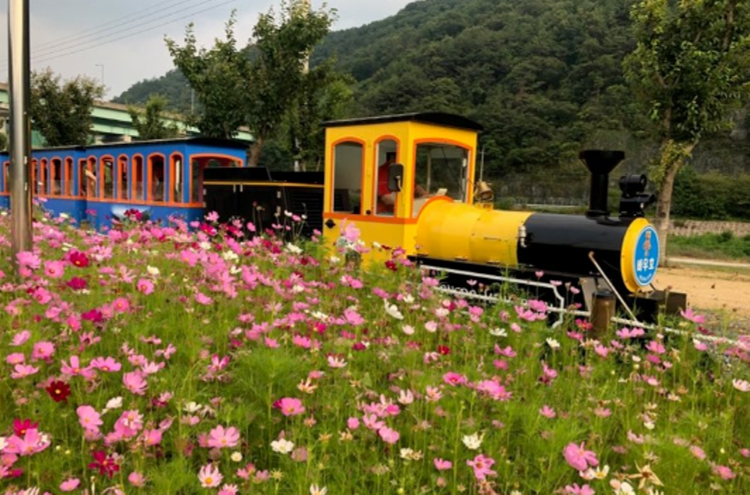 청도 레일바이크