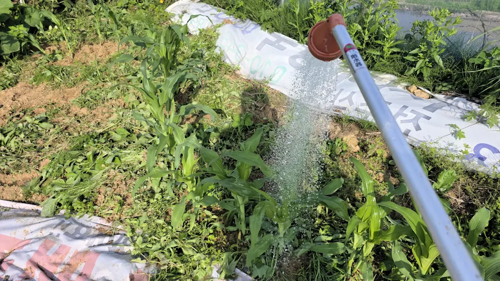 농막7