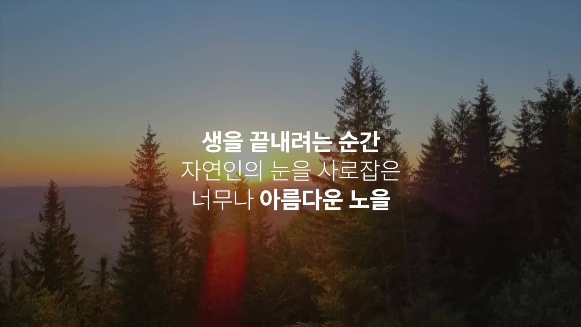 생을 끝내려는 순간 자연인의 눈을 사로잡은 너무나 아름다운 노을