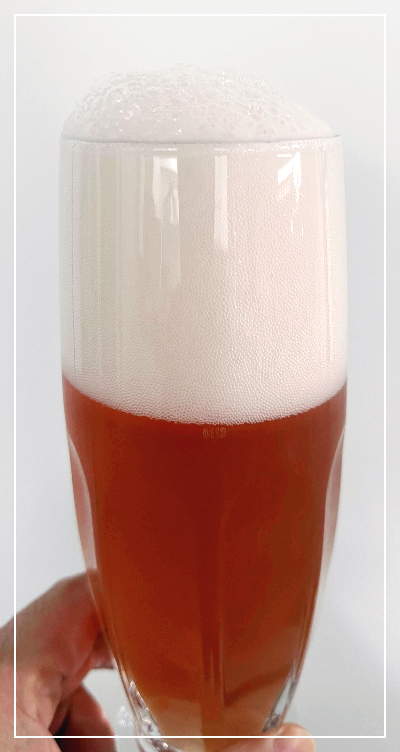 프랑스 맥주 크로넨버그 1664로제