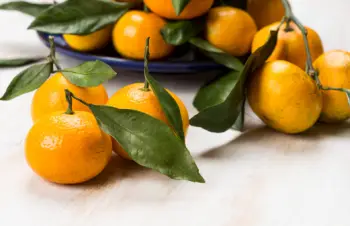 귤 가격 및 효능, 영양성분과 주의점