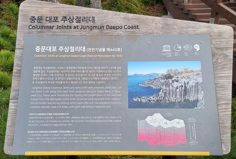 중문대포 주상절리대는 천연기념물 제 443호로 지정되어 있습니다.