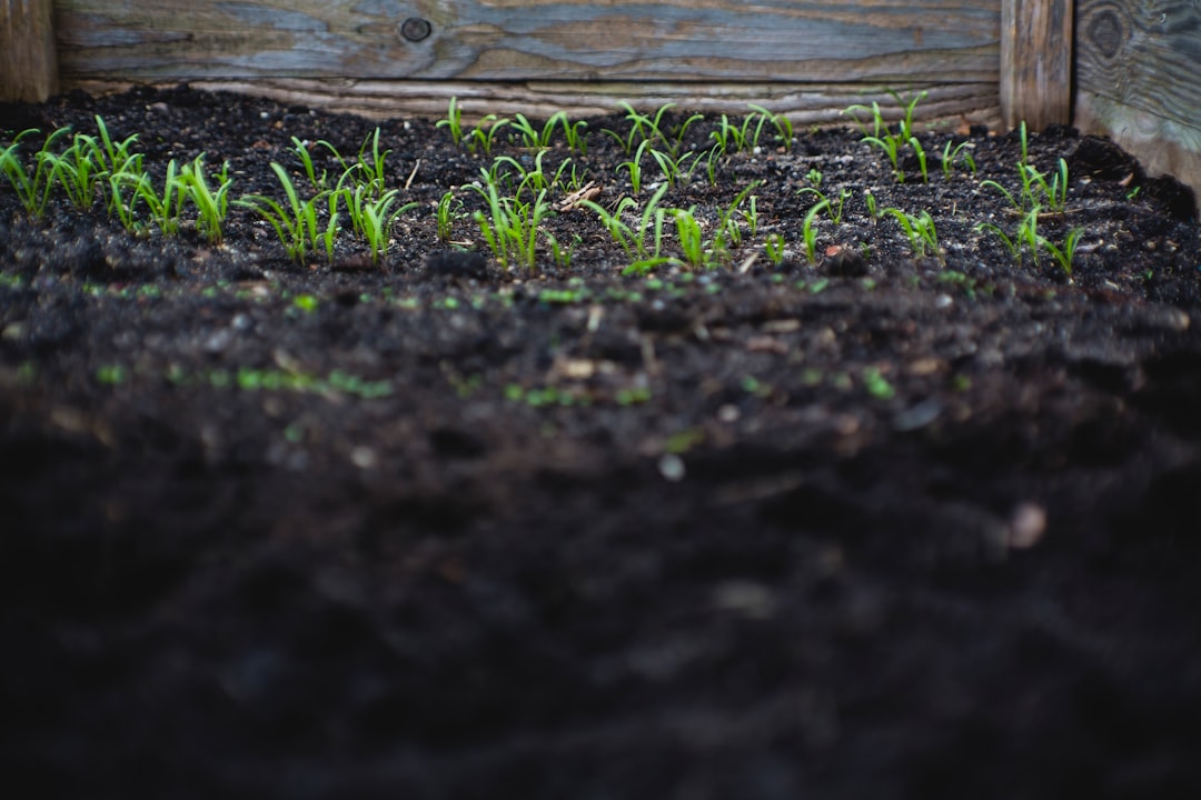 Urban farming.