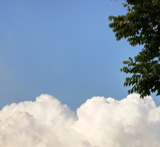 친구와 함께 맨발 걷기 좋은 동해안 코스 TOP3