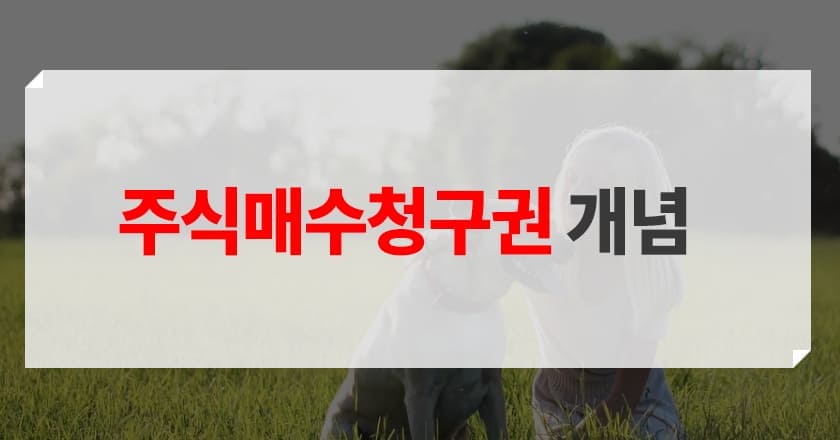 매청권 주식 매수 청구권이란