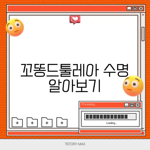 꼬똥드툴레아 수명 알아보기