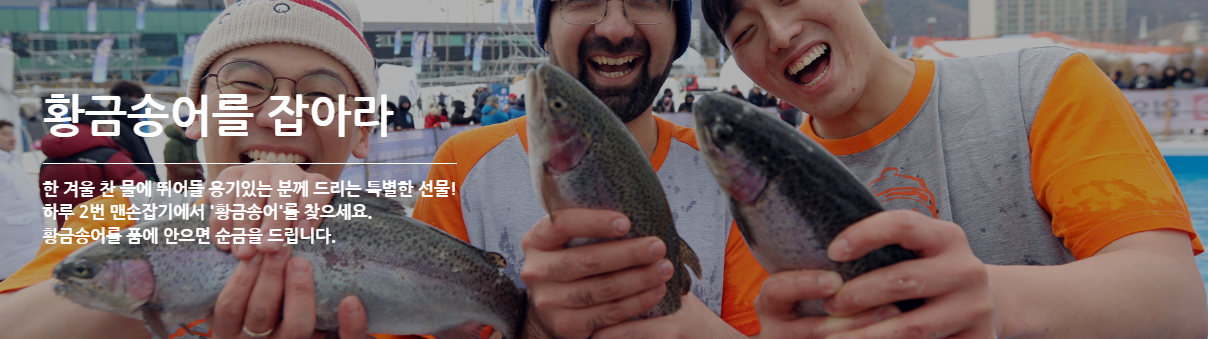 평창 송어 축제