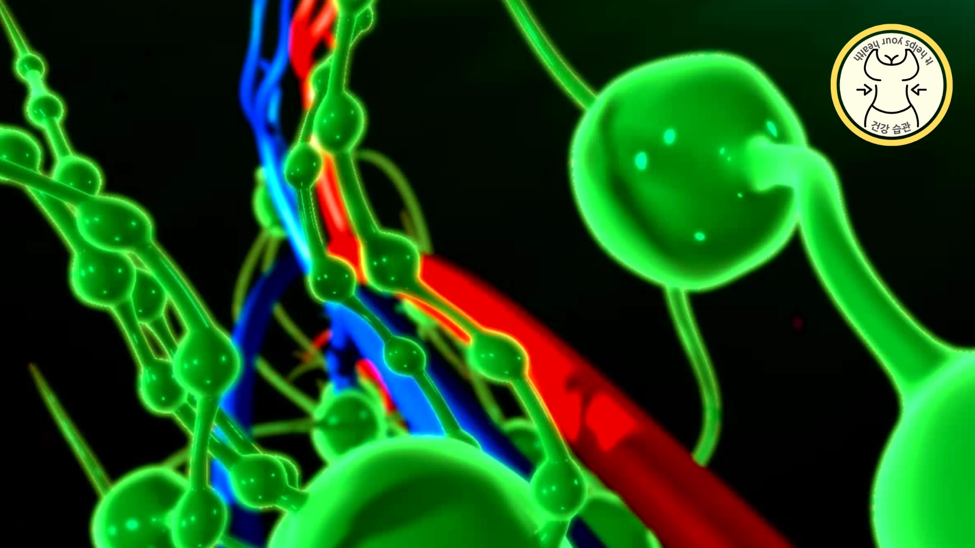 림프 순환 오류 림프 순환 오류