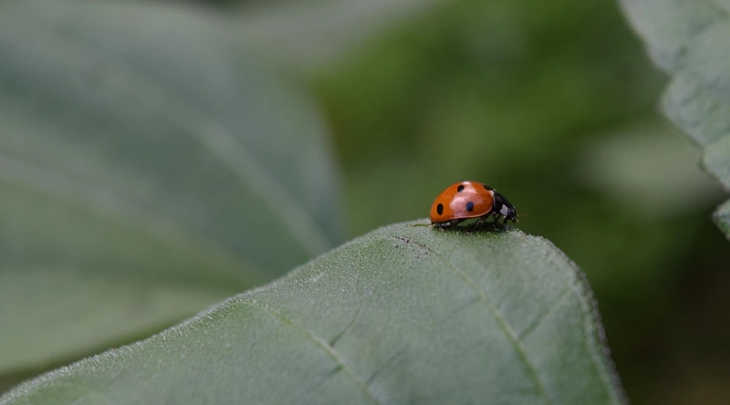 동적 케이블의 유지보수와 관리