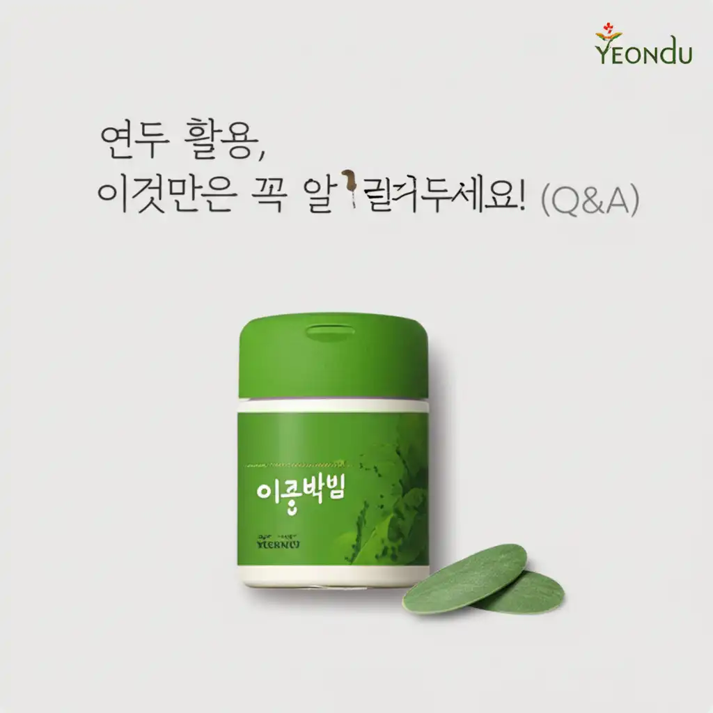 연두이용방법_yondu-qa