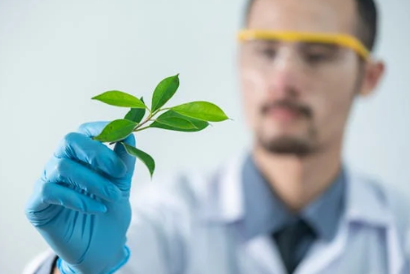 염색체 생약 연구하는 사진