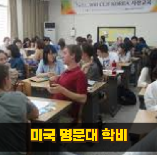 미국 명문대 학비