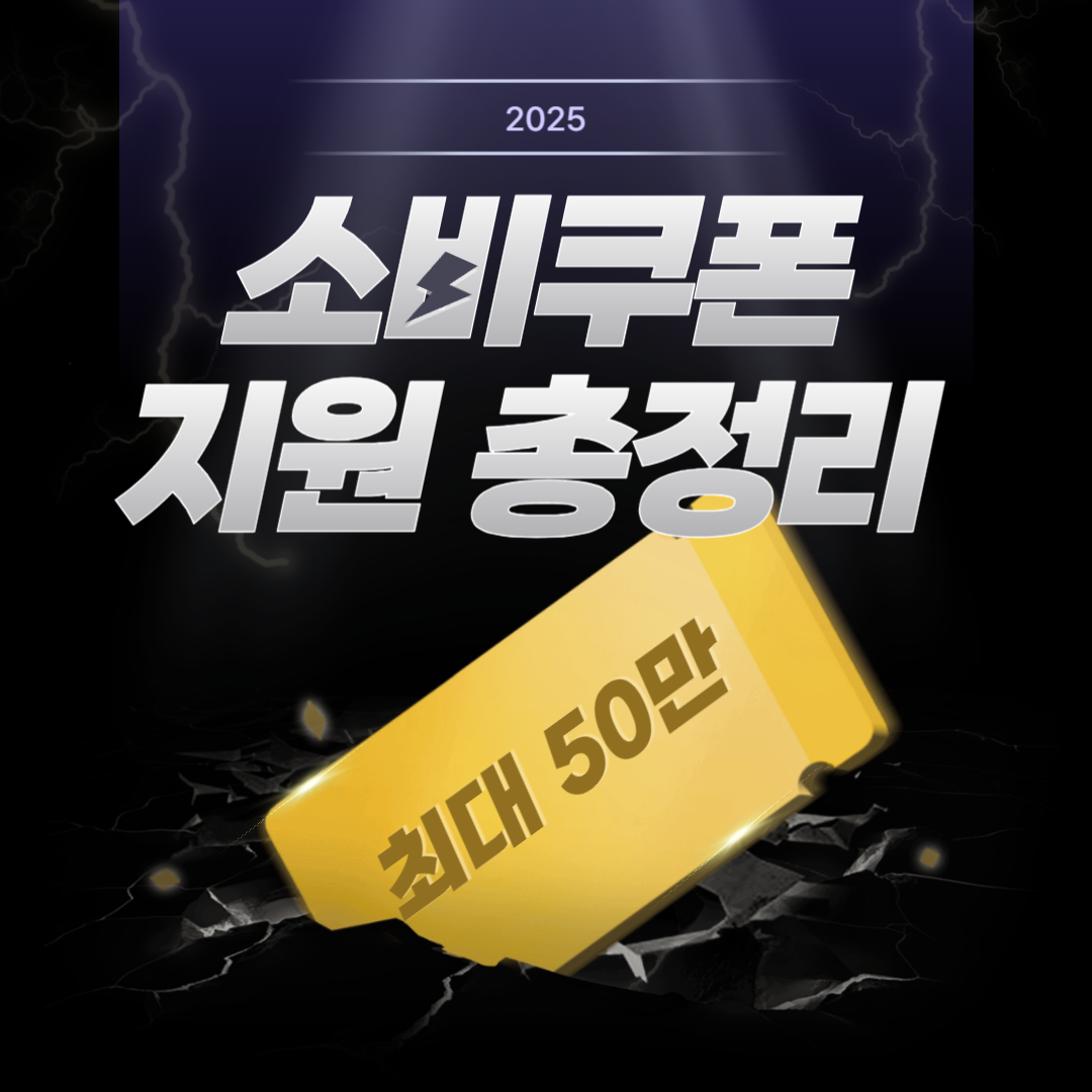 2025 소비쿠폰 지원 총정리