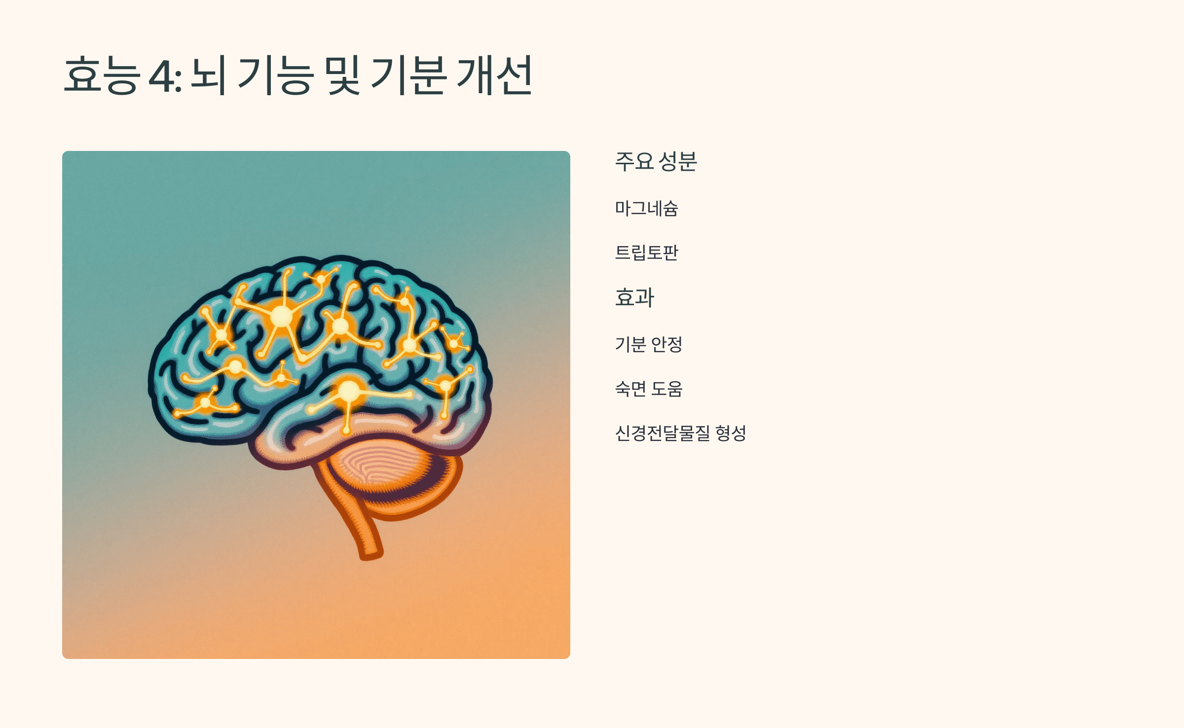 호박씨 사진입니다.