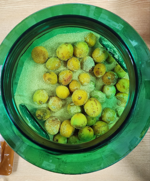 유리병에 매실과 비정제 설탕을 층층이 담은 초기 상태