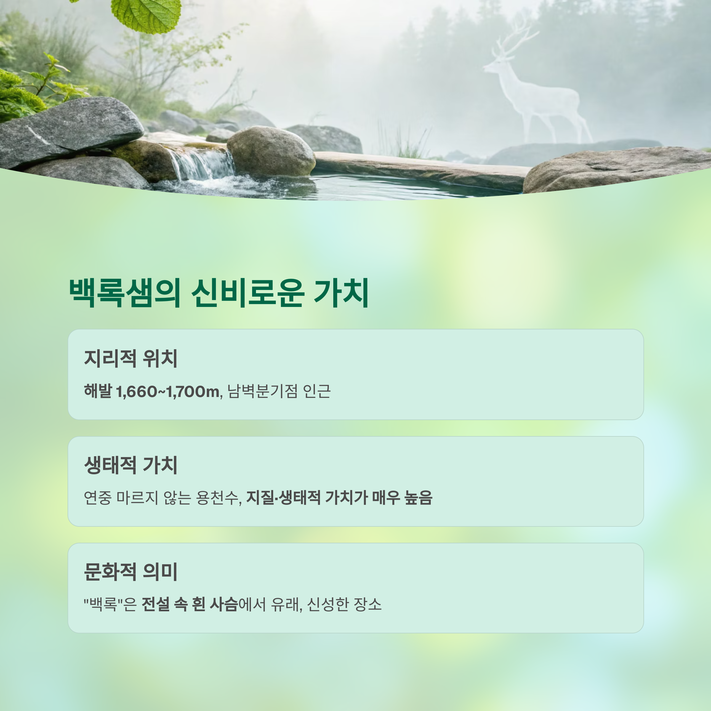 백록샘의 신비로운 가치