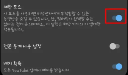 제한 모드 설정