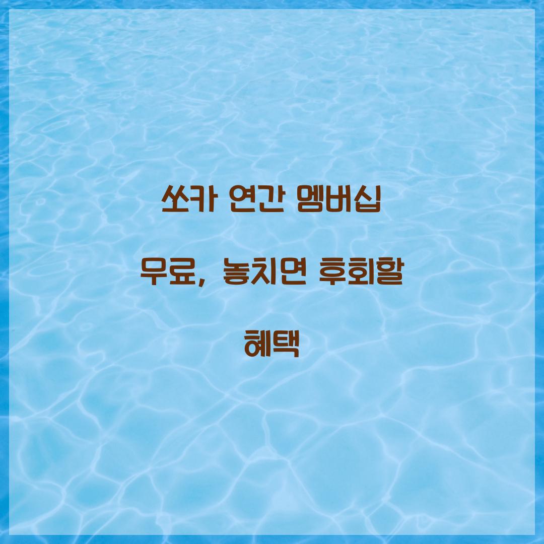 쏘카 연간 멤버십 무료