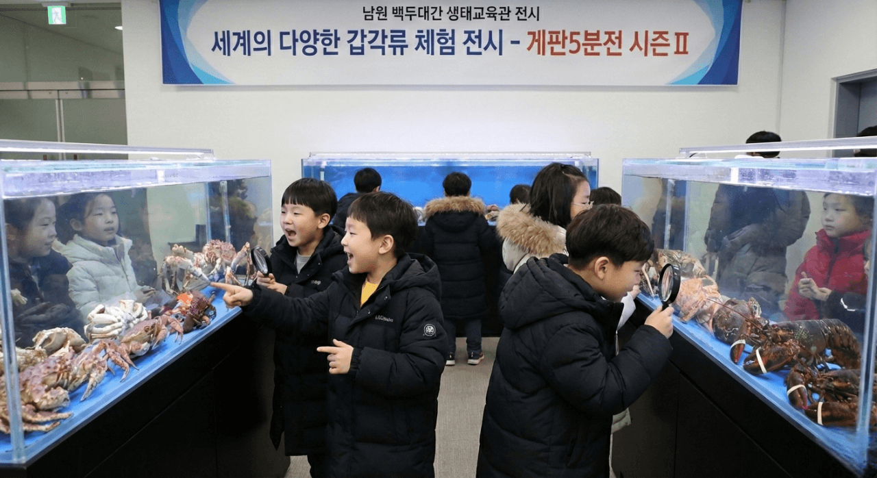 남원 백두대간 생태교육장에서 세계의 다양한 게와 가재를 관찰하는 아이들