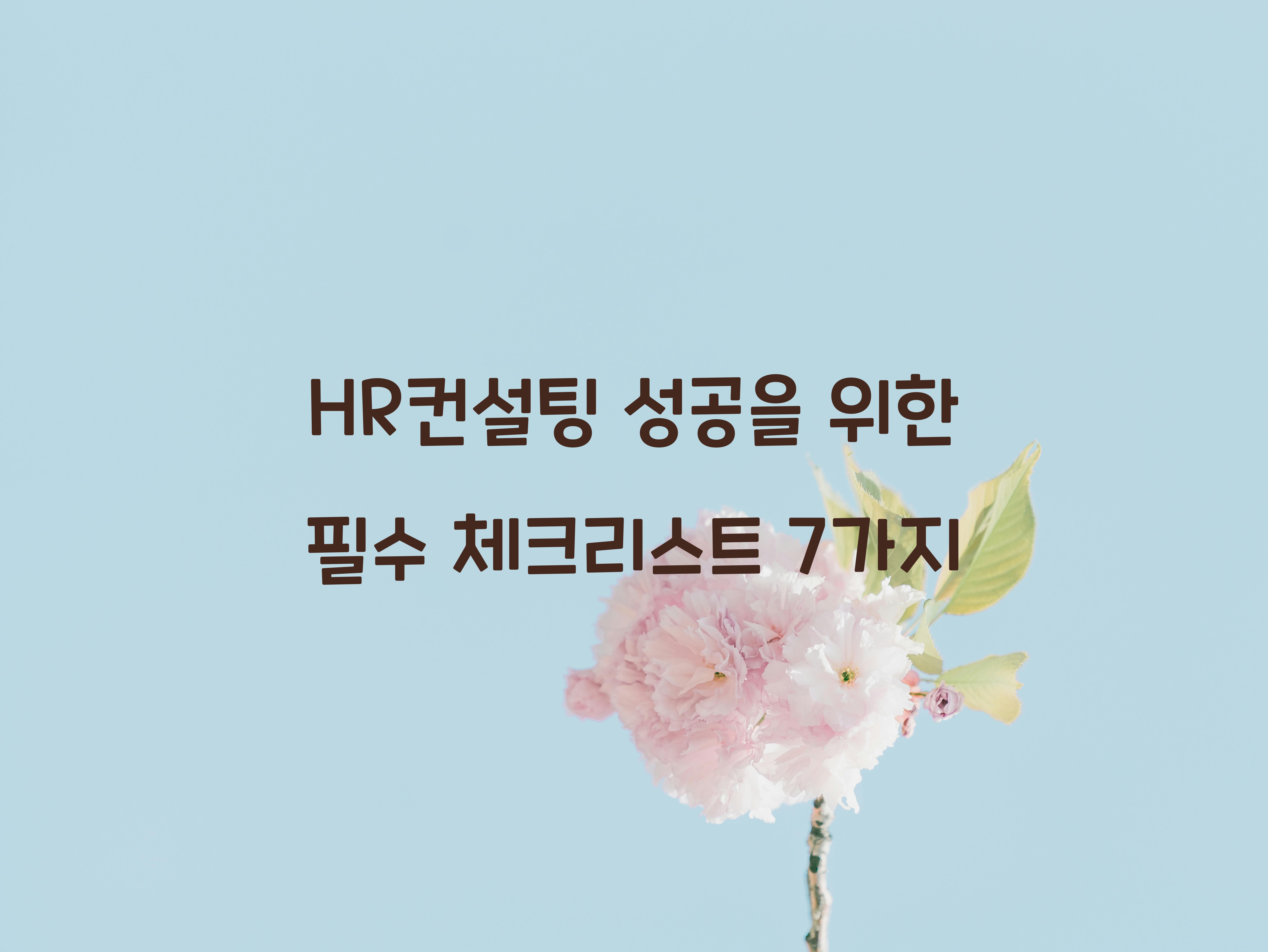 HR컨설팅