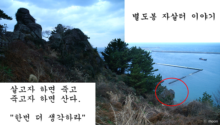 별도봉자살터