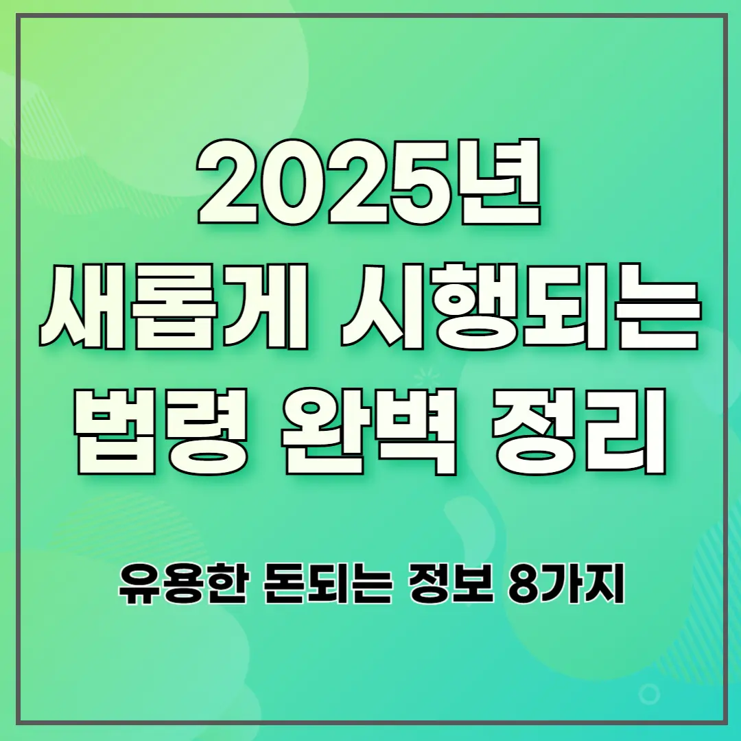 2025년 새롭게 시행되는 법령 완벽 정리