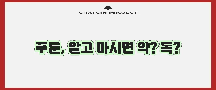 푸룬 주스 효능과 부작용 그리고 테일러 푸룬의 모든 것 꼭 알아야겠죠?