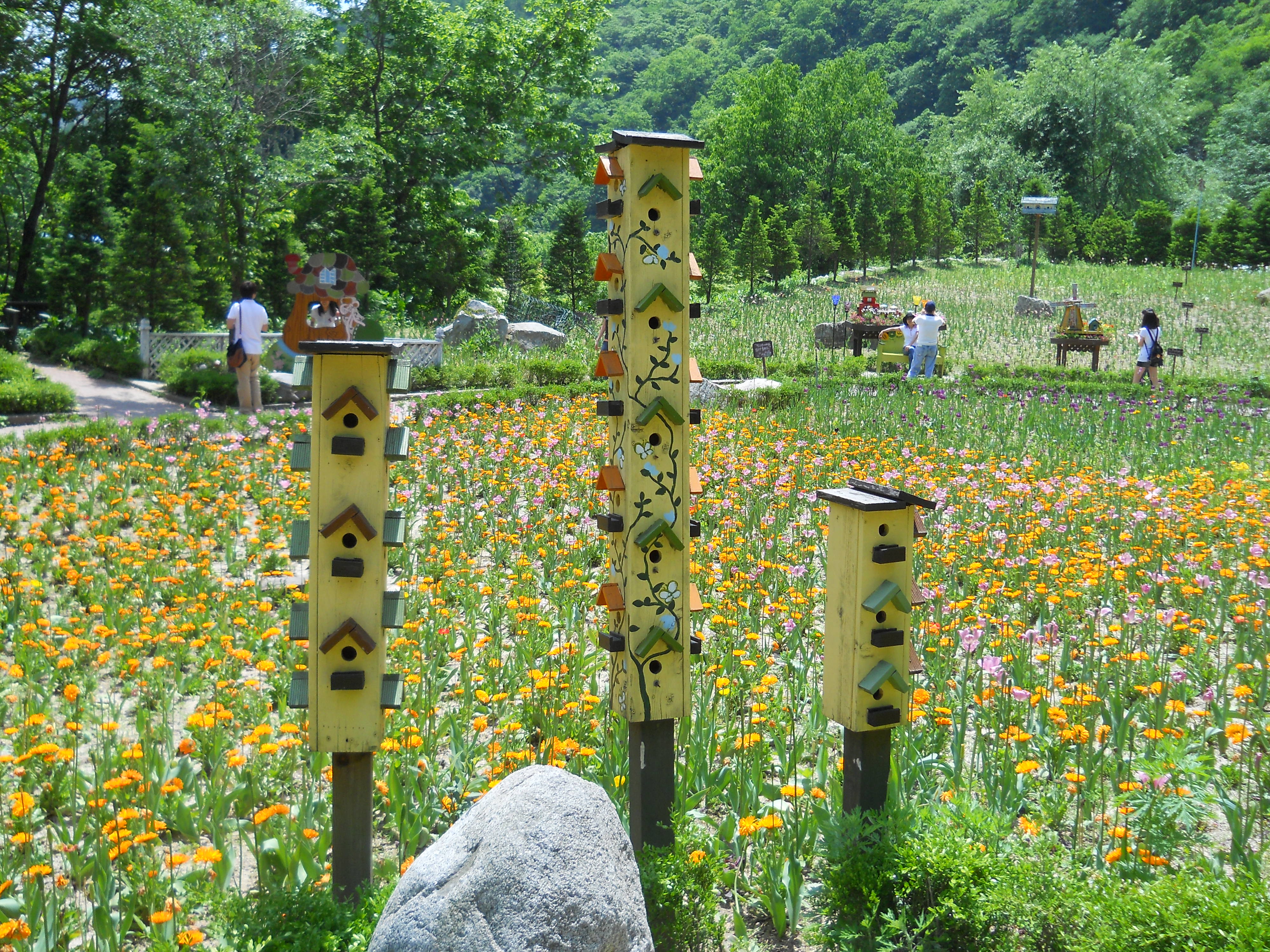평창 허브나라 농원(Herbnara Farm)