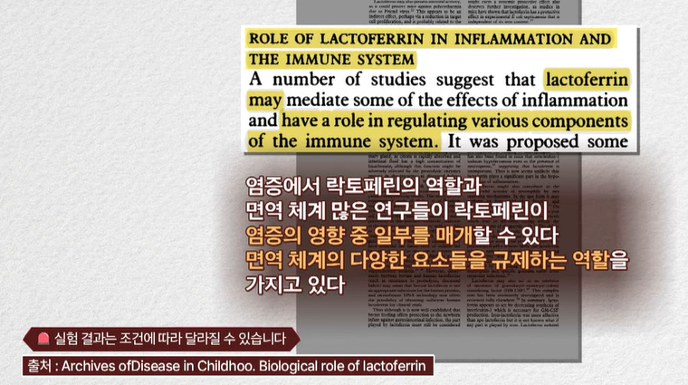 락토페린 효능