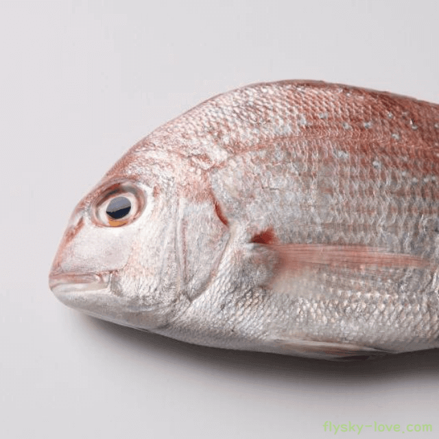 아미노산이 풍부한 참돔