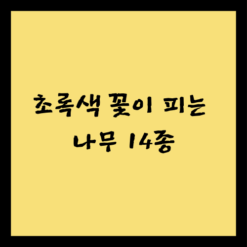 초록색 꽃이 피는 나무 14종