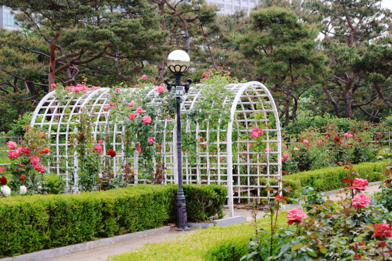 고양꽃박람회 야외 전시장 풍경