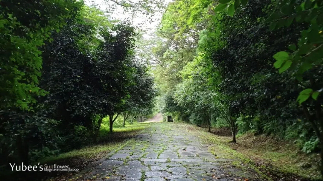 제주도 산책코스