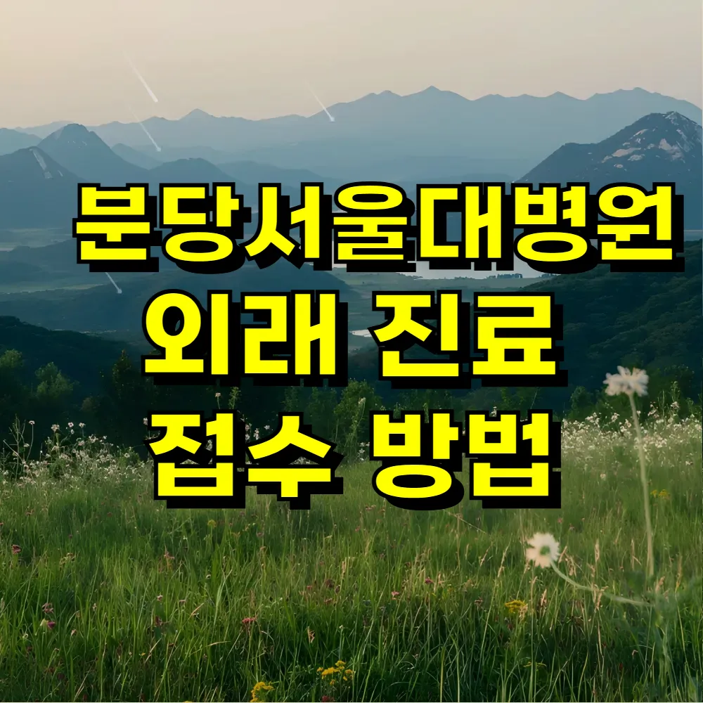 분당서울대병원 외래 진료 접수 방법
