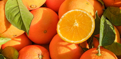 피로회복에 좋은 음식