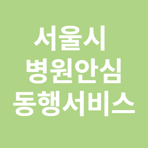서울시 병원안심 동행서비스