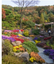 화담숲 예약 화담숲 벚꽃