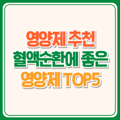 혈액순환에좋은영양제