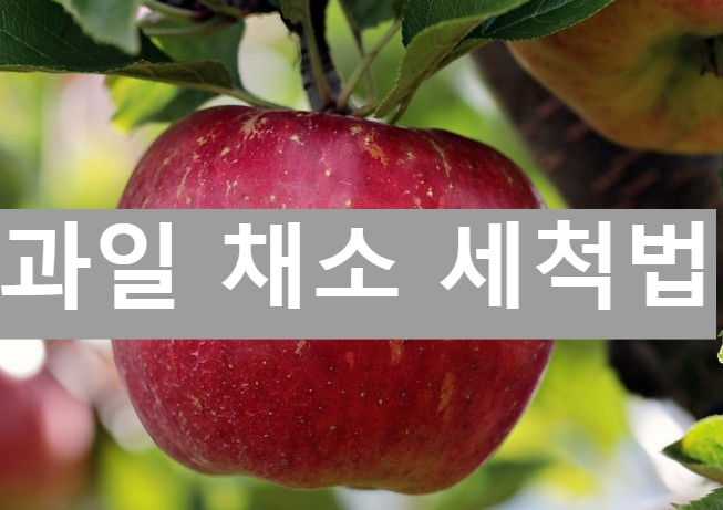 과일 세척법 채소 농약 씻기 식초 브로콜리 씻는방법
