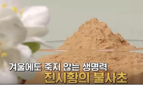 맥문동 효능