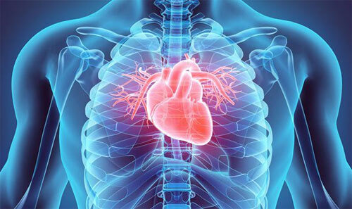 심장이 안좋을때 나타나는 증상 10가지