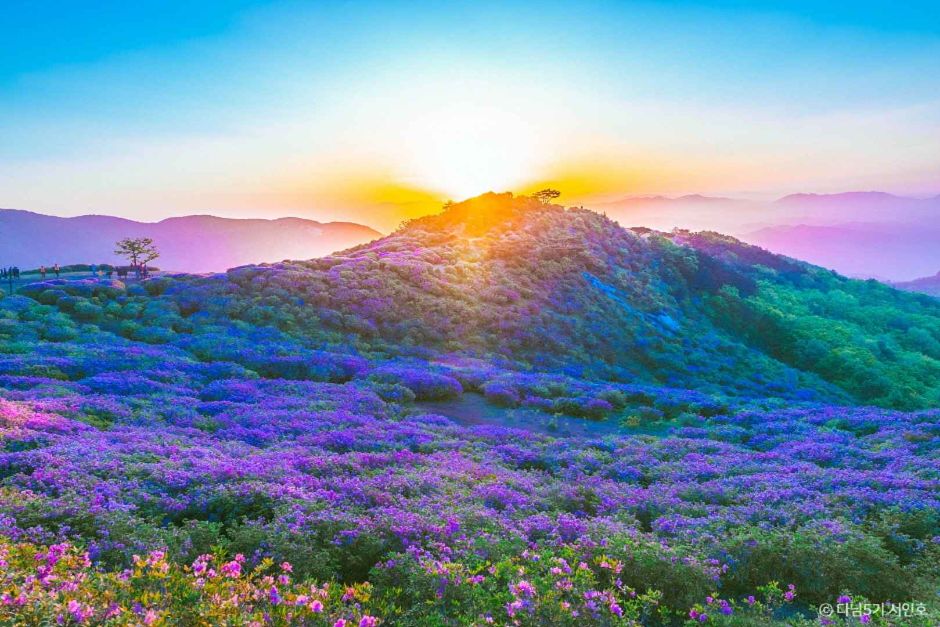 합천 가볼만한곳 베스트10